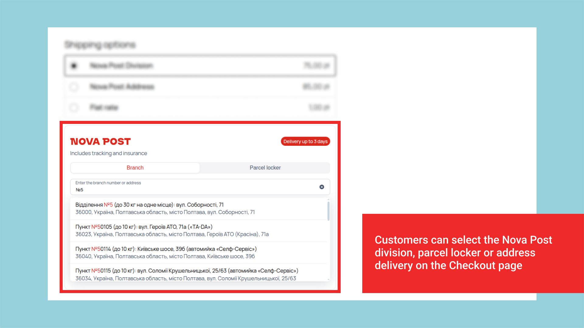Customers select Nova Post pickup branch, parcel locker, or address delivery at checkout