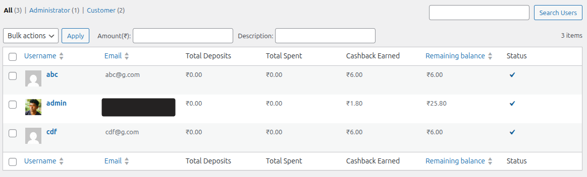 Admin wallet details page.