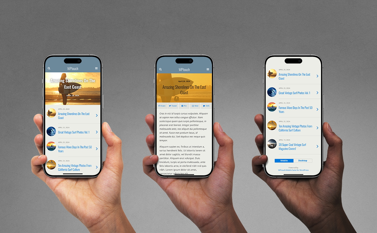 Triple view of post/page view, main and comments area. Colours, fonts and more can be customized easily.