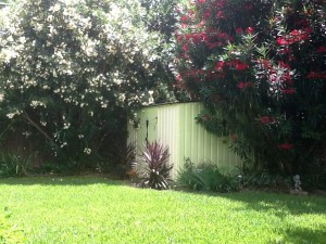 IMG_0057 (1)