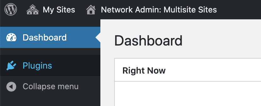 Multisite Plugins