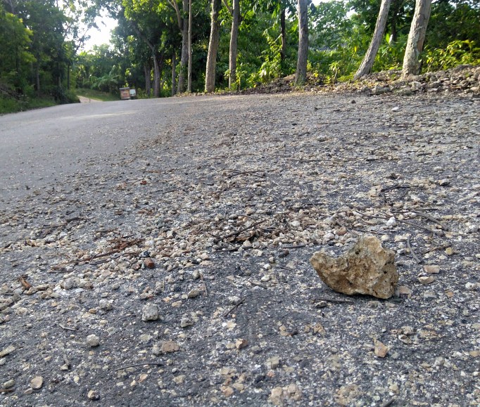 seeing hearts 10: love in unexpected places.