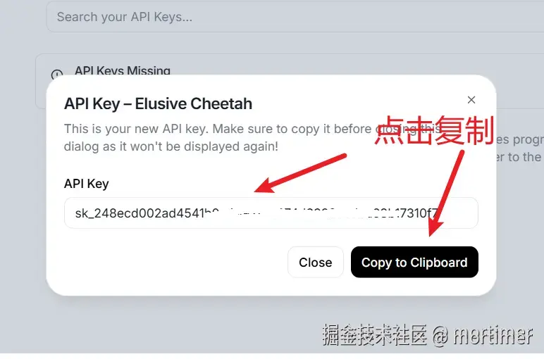 复制 API Key