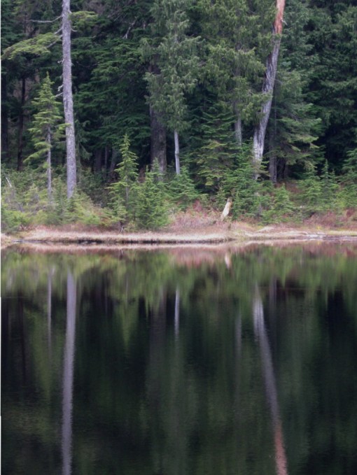 Yew Lake, Cypress