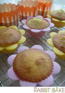 Sunny side up cupcake3