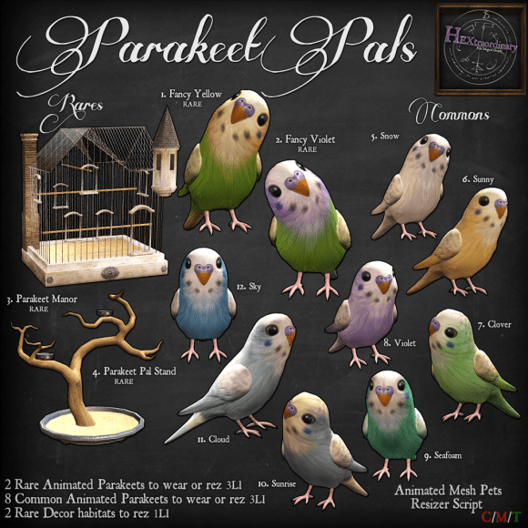 _HEXtraordinary_ Parakeet Pals Gacha Key