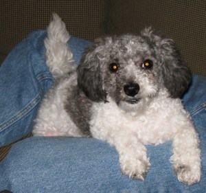 Daisy, the character