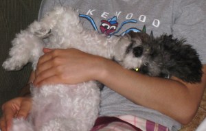 Daisy