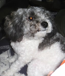 Daisy's funny expression