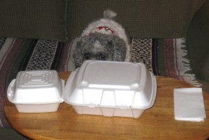 Daisy and takeaway