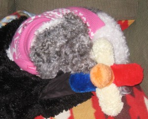 Wow a squeaky in every arm! I'm in heaven!
