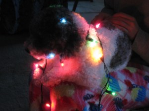 "It's beginning to look a lot like Christmas" :)