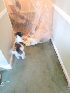 Is that Daddy in there? Why is he hiding from me?