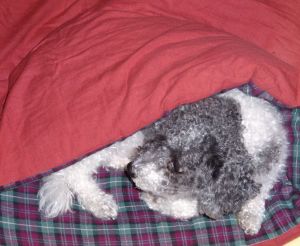 Oooo, snuggly warm!