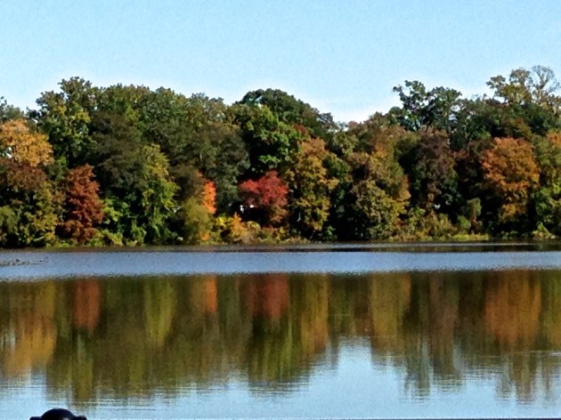 fall at the lake