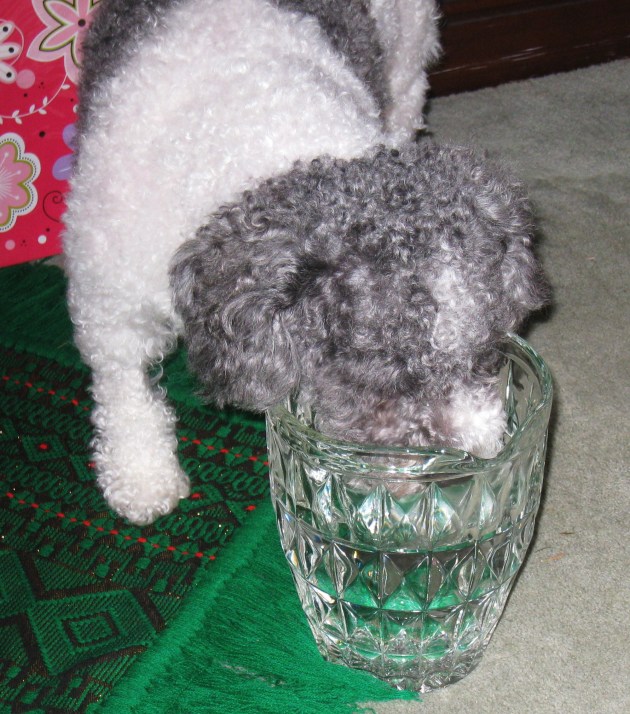 Maybe just a sniff...