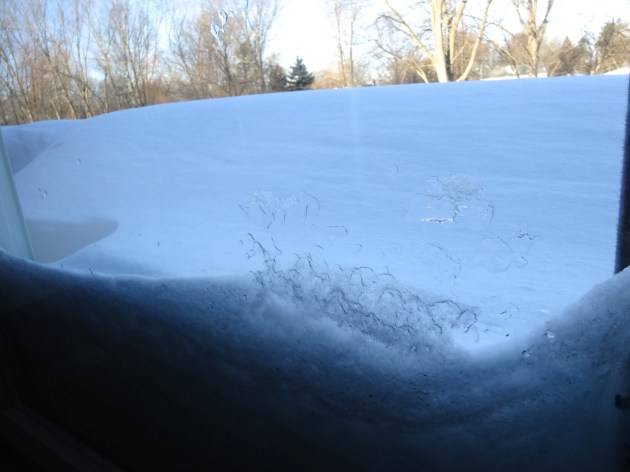 View from the back door...yeah, it's kinda deep...