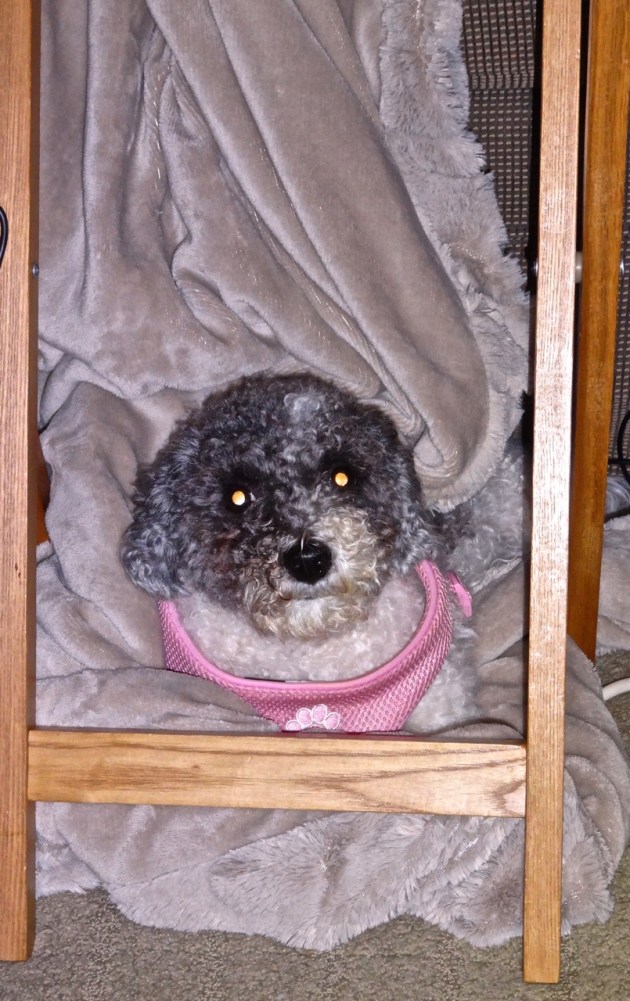 I'm perfectly safe in here!