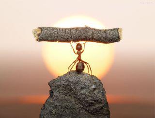 worship of work.