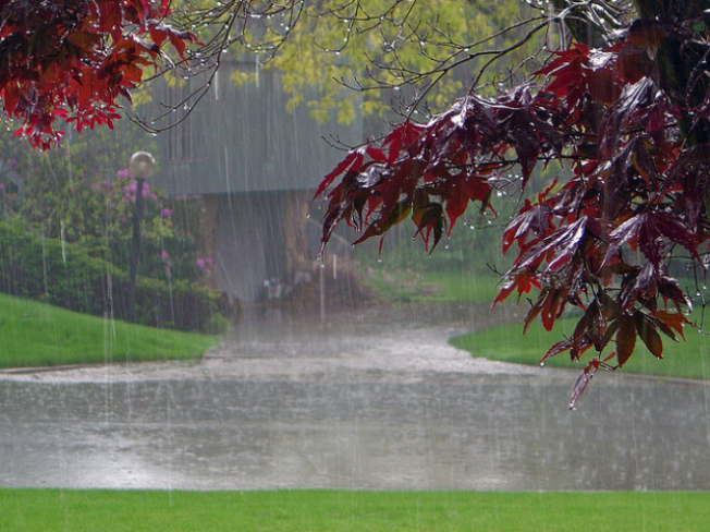 rain