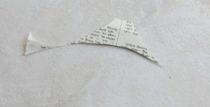 cut paper piece bird