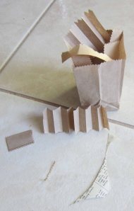Paper bag and pieces 1