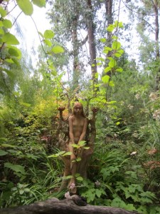 Bruno's garden, all new growth