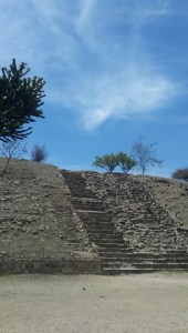 20160317_125731~2 (Copy)