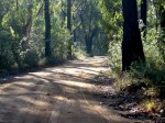 The Oaks Fire Trail