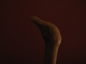 P1160081