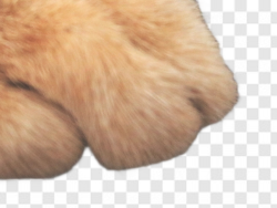 Default background removal Default background removal
