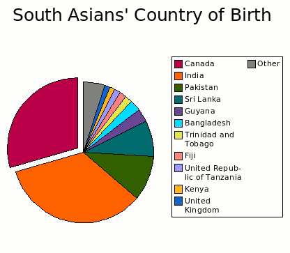 South Asian's Country of Birth pie chart