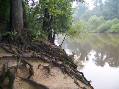 Photo by Mr Poortom; from Wikimedia Commons
