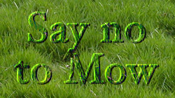 say-no-to-mow