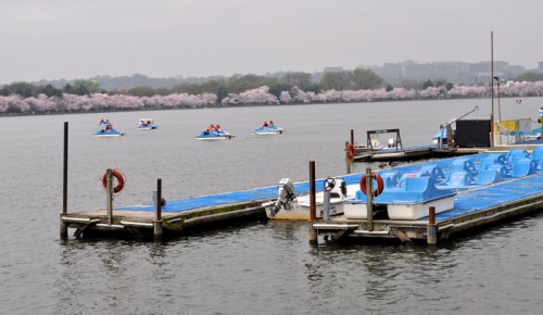 BoatsInBasin