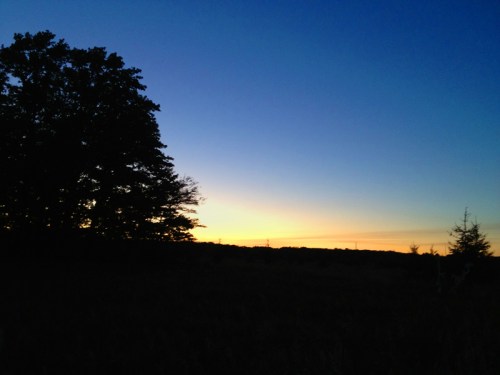 WisconsinSunsetFarmfield