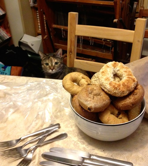 KikiDiscoversBagels2