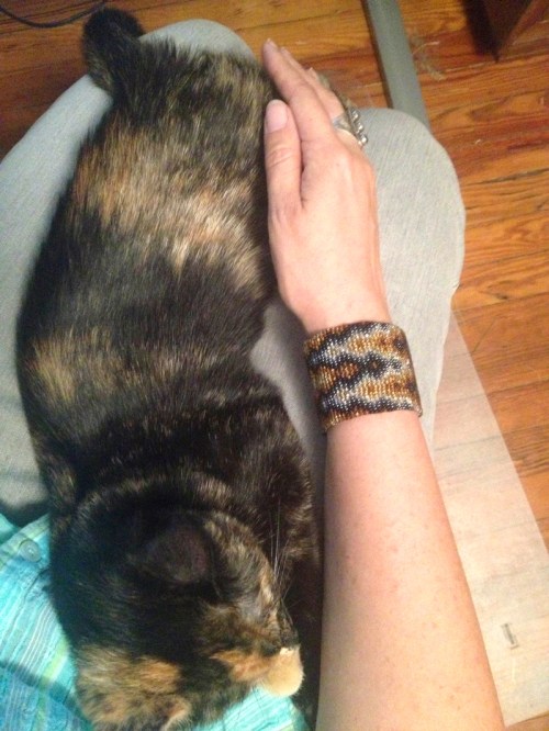 Ember-Size-4months