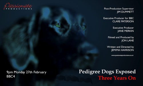 PDE 3 years on