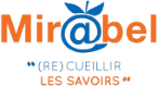 https://reseau-mirabel.info/revue/22302/Revista-de-Direito