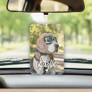 Search for photo car air fresheners Automobile