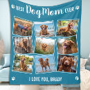 Search for pet blankets Photo collage