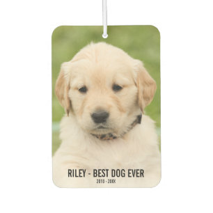 Dog Memorial, 2 Photos, Best Dog Ever, Car Air Freshener