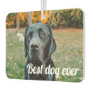 Recherche de désodorisants voiture Concevoir votre propre