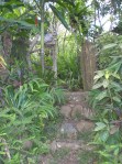 entrance: Lawiswis Organics
