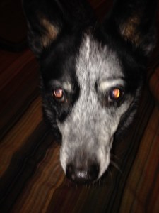 photo(9)