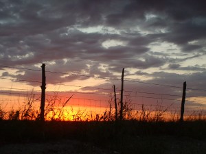 sunrise