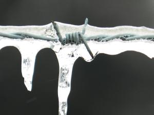 ice