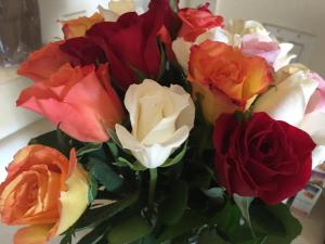 roses