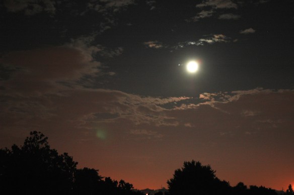moonlight
